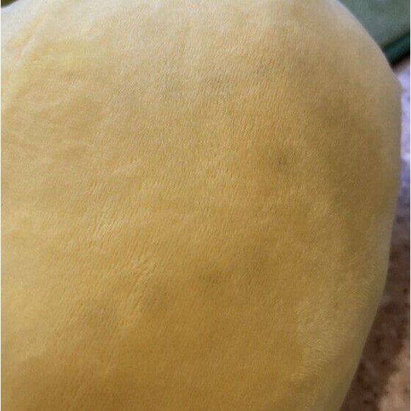 Squishmallow 7.5” LETICIA the LEMON "4EVER" Plush Stuffed Animal Toy - Picture 7 of 8